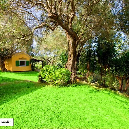House In The Olive Garden Lejlighed Ágios Ioánnis Eksteriør billede
