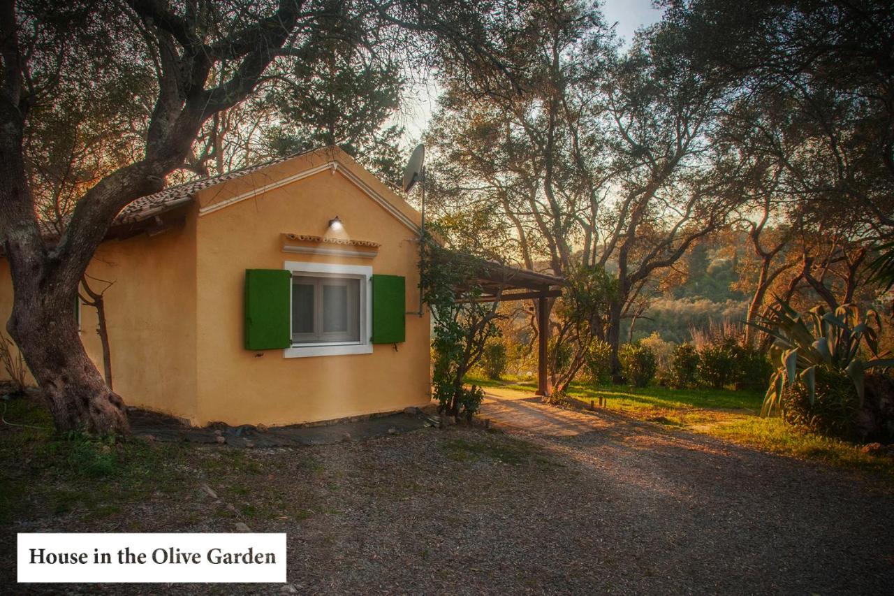House In The Olive Garden Lejlighed Ágios Ioánnis Eksteriør billede