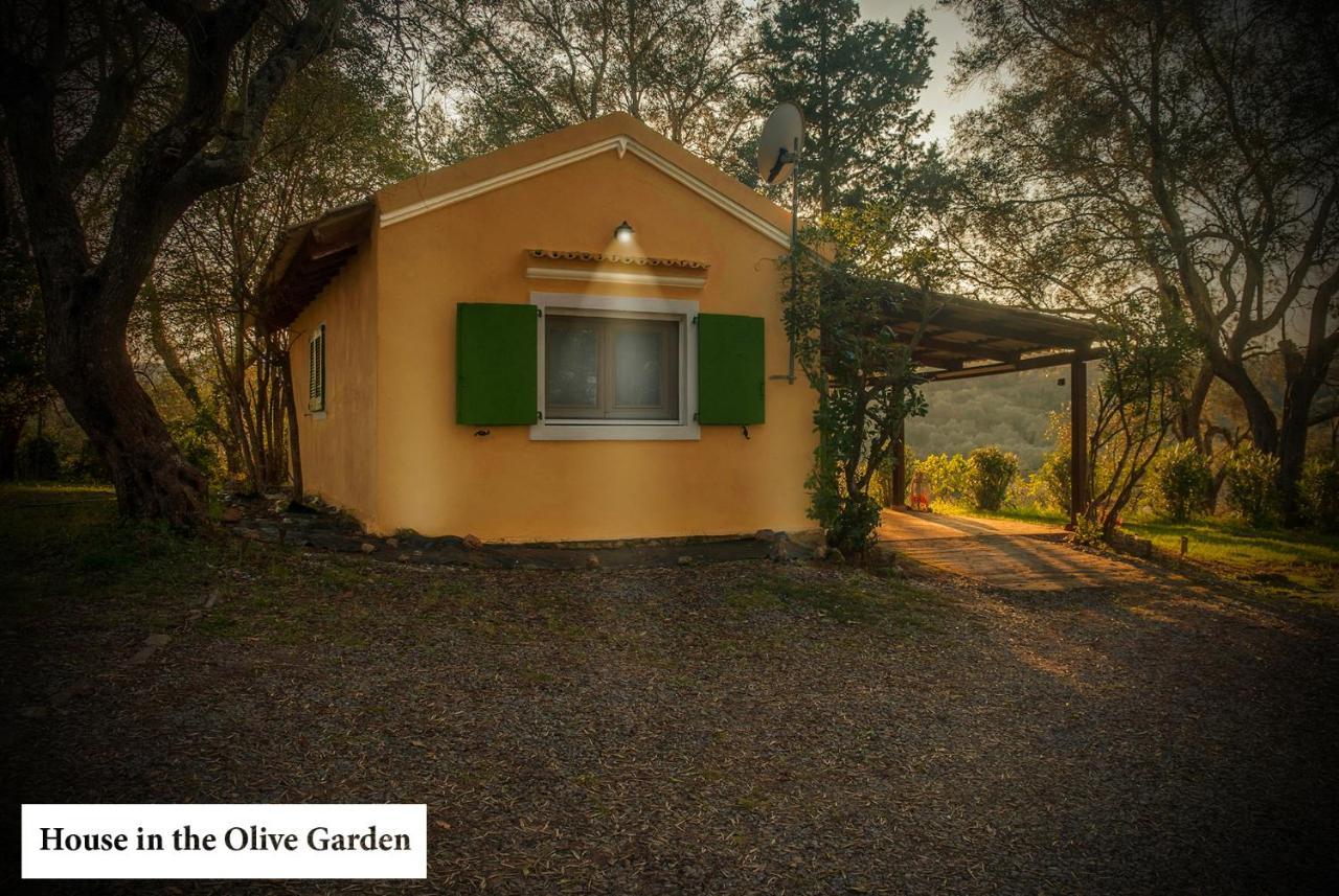 House In The Olive Garden Lejlighed Ágios Ioánnis Eksteriør billede