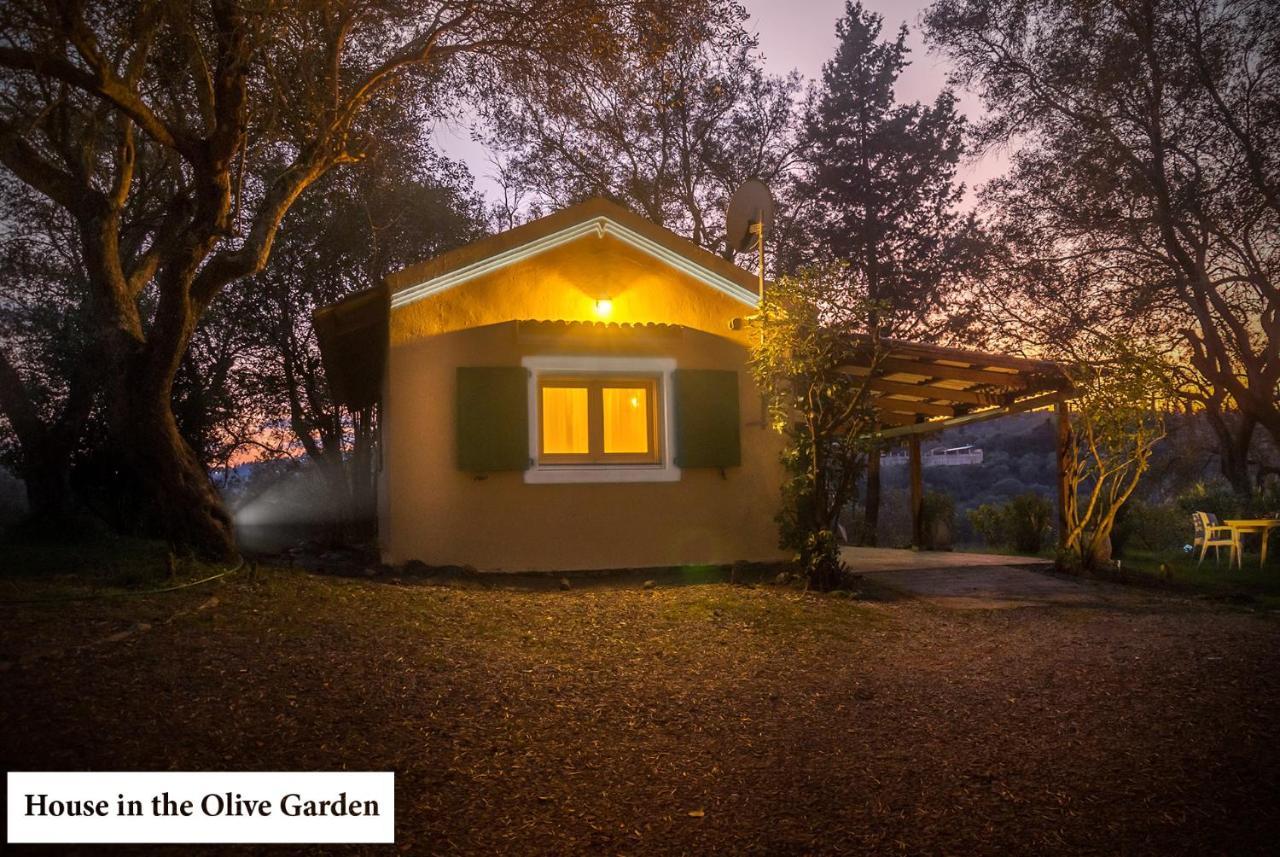 House In The Olive Garden Lejlighed Ágios Ioánnis Eksteriør billede