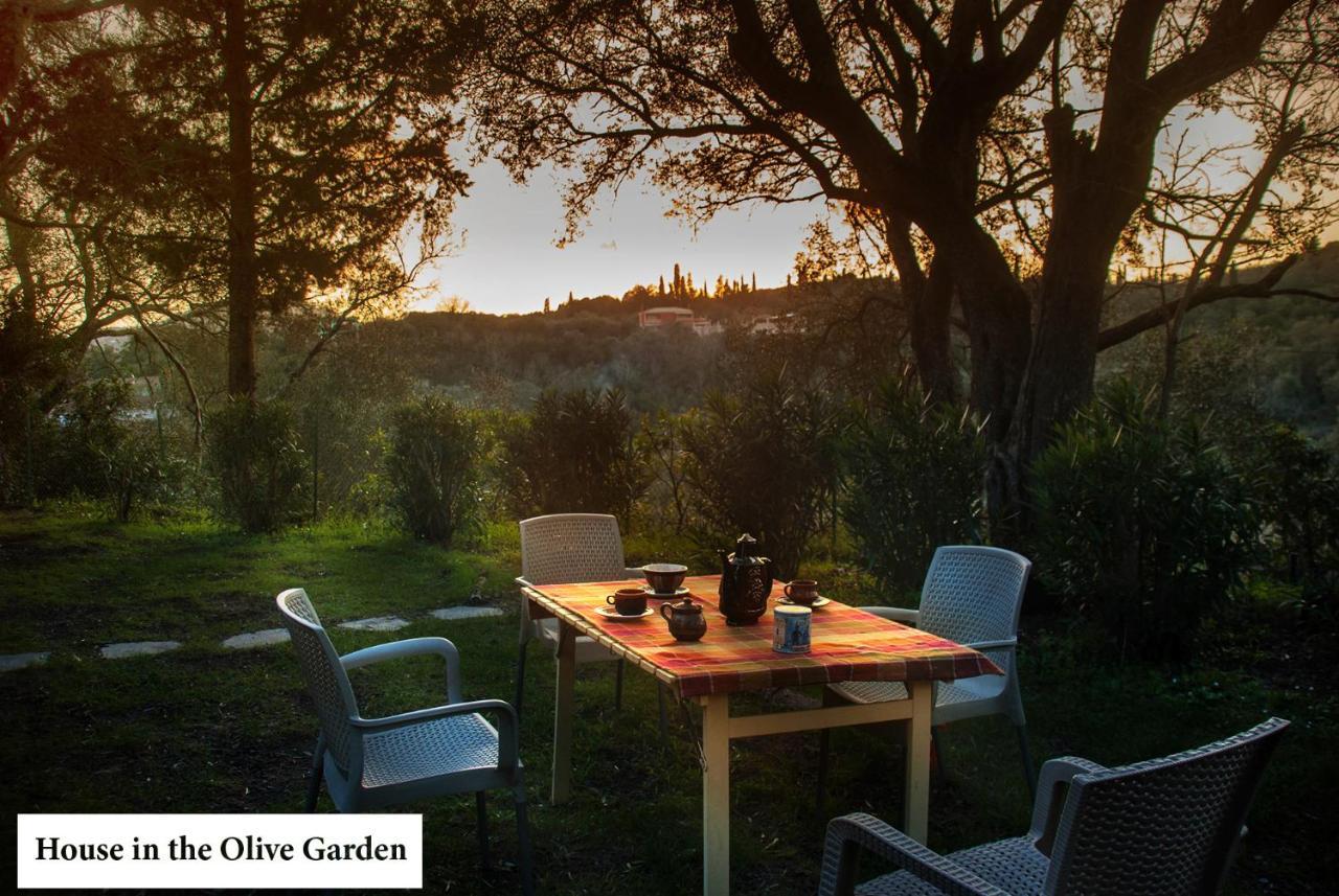 House In The Olive Garden Lejlighed Ágios Ioánnis Eksteriør billede