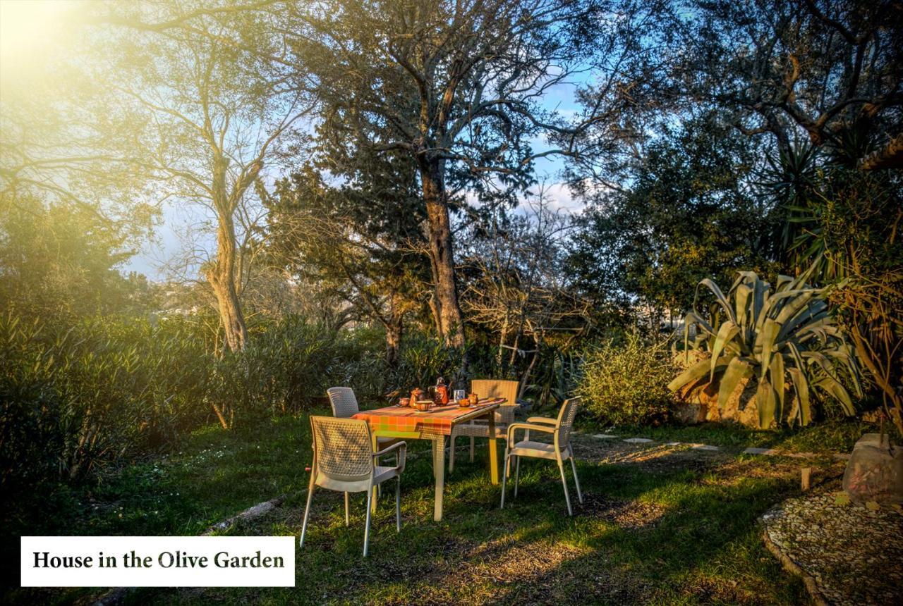 House In The Olive Garden Lejlighed Ágios Ioánnis Eksteriør billede