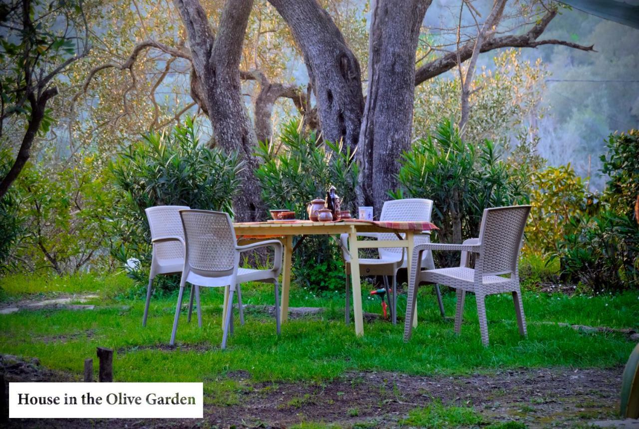 House In The Olive Garden Lejlighed Ágios Ioánnis Eksteriør billede