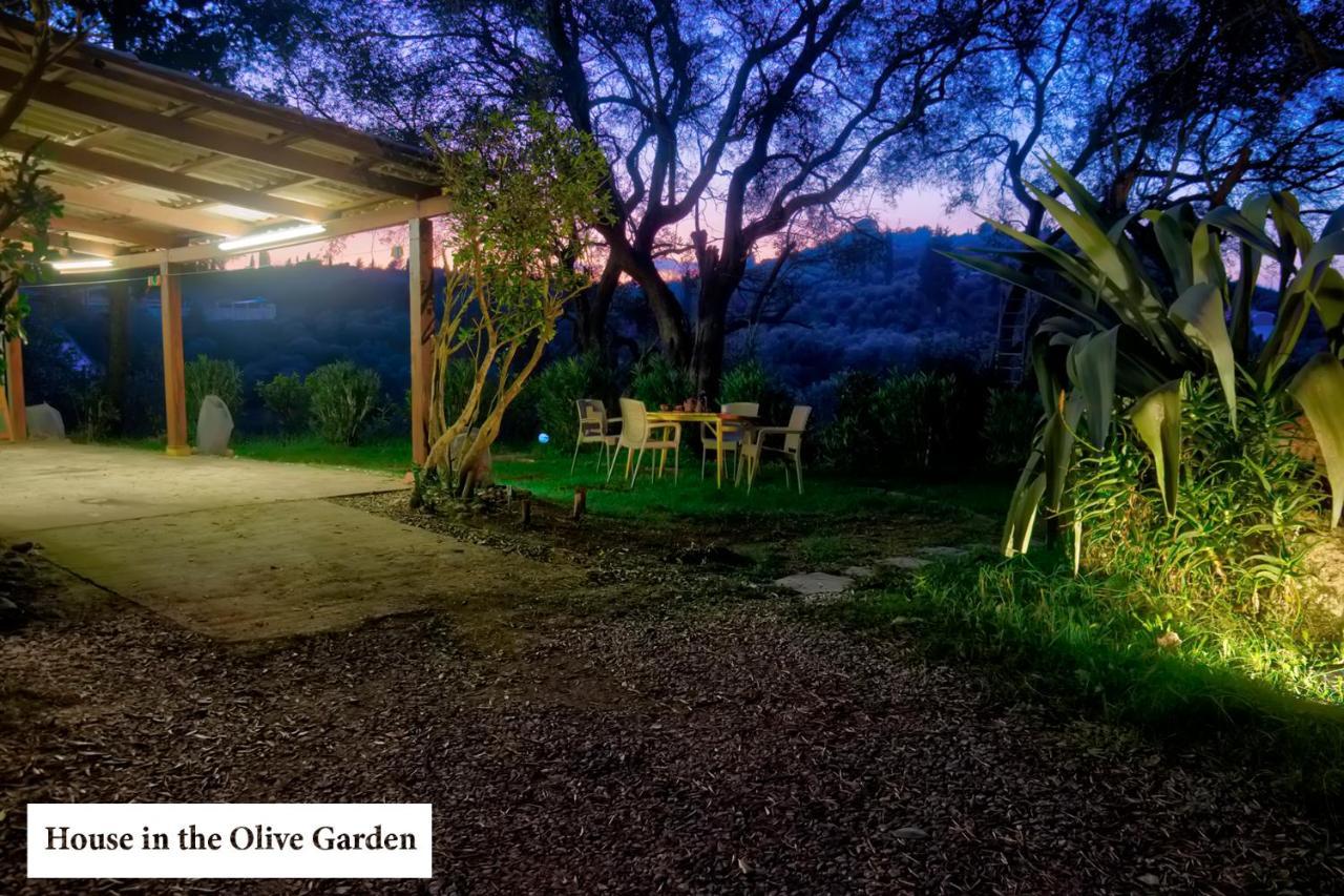 House In The Olive Garden Lejlighed Ágios Ioánnis Eksteriør billede
