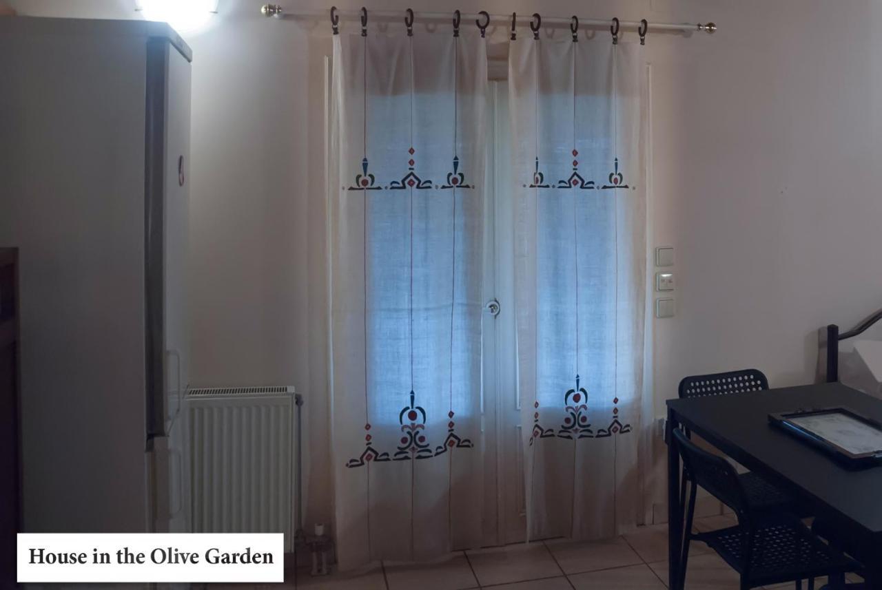 House In The Olive Garden Lejlighed Ágios Ioánnis Eksteriør billede