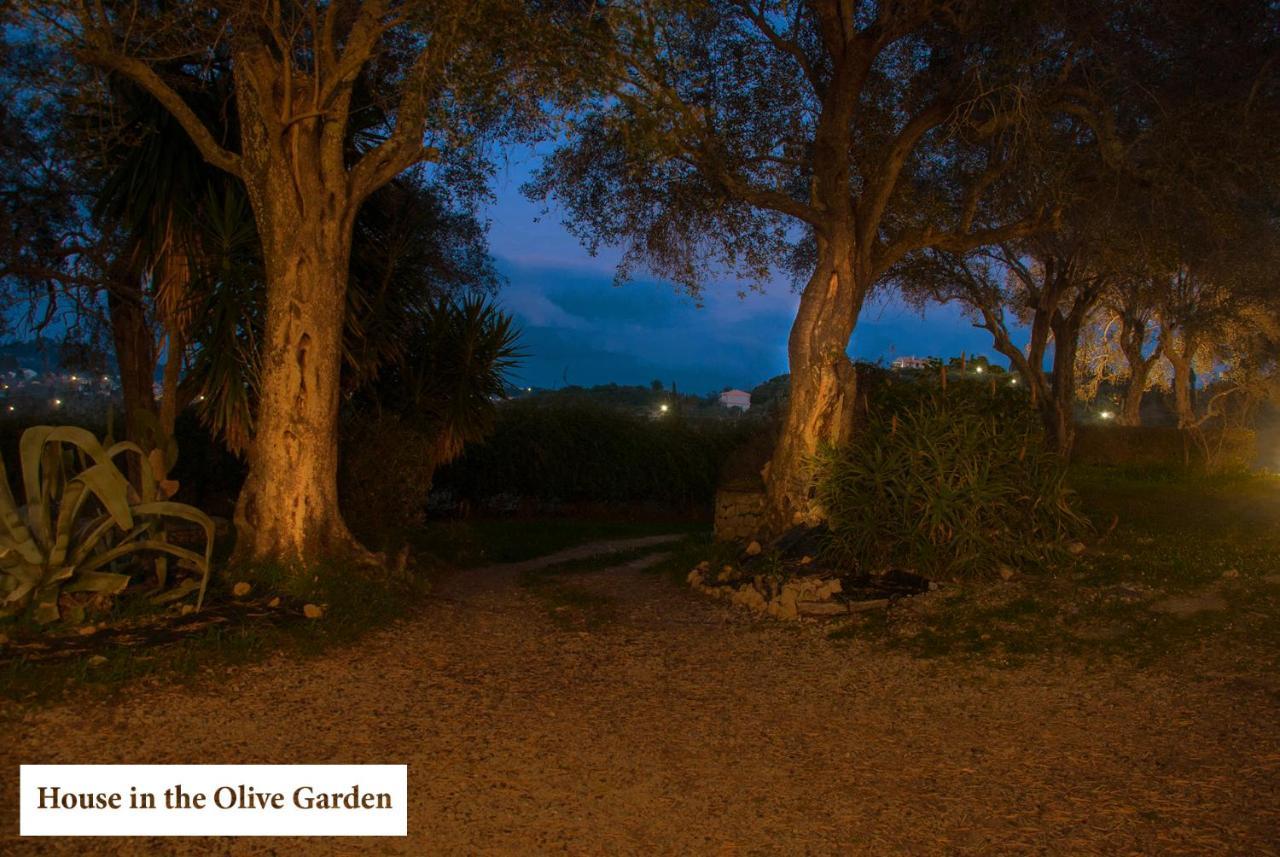 House In The Olive Garden Lejlighed Ágios Ioánnis Eksteriør billede