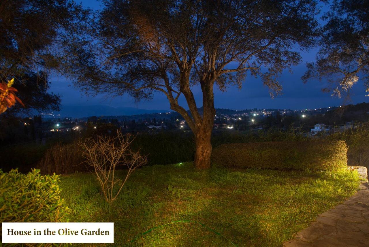 House In The Olive Garden Lejlighed Ágios Ioánnis Eksteriør billede