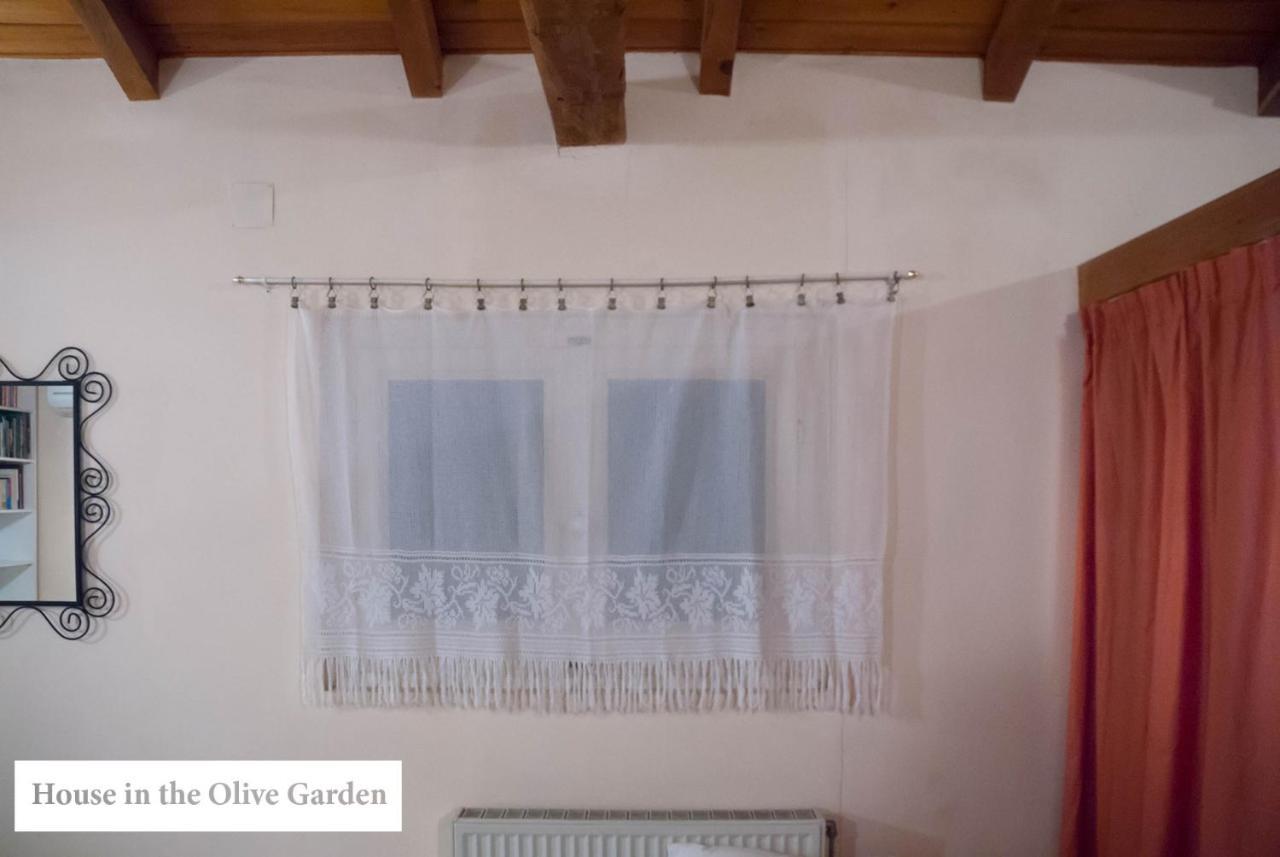 House In The Olive Garden Lejlighed Ágios Ioánnis Eksteriør billede