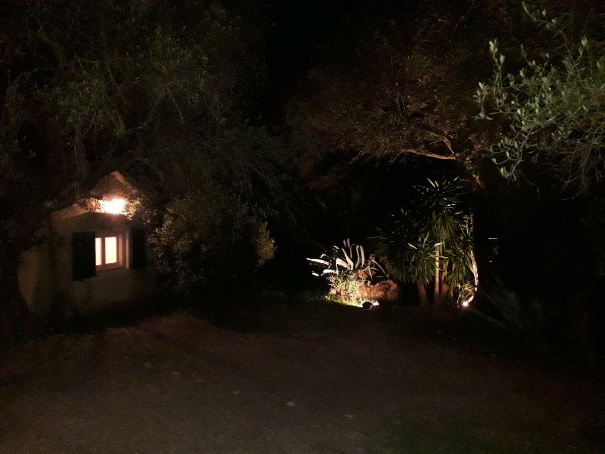 House In The Olive Garden Lejlighed Ágios Ioánnis Eksteriør billede