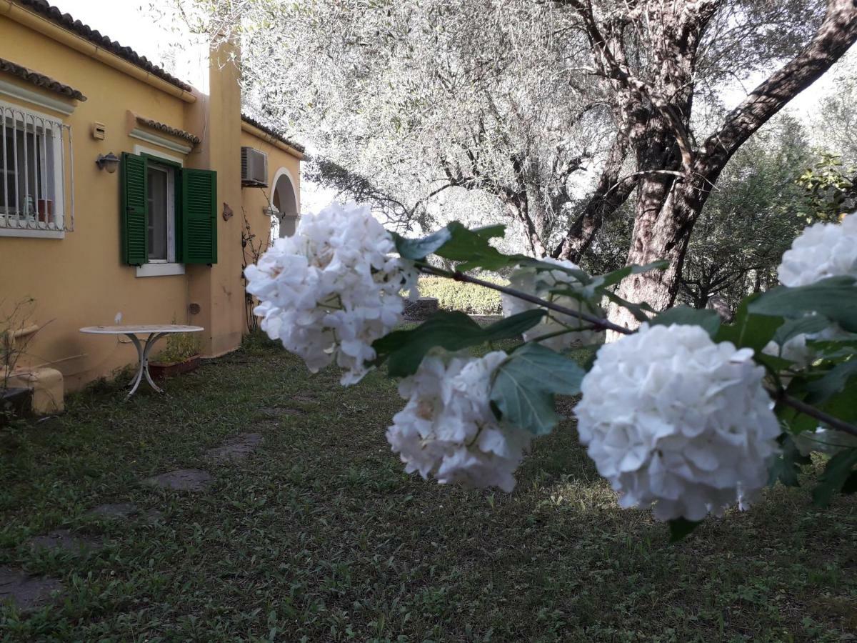 House In The Olive Garden Lejlighed Ágios Ioánnis Eksteriør billede