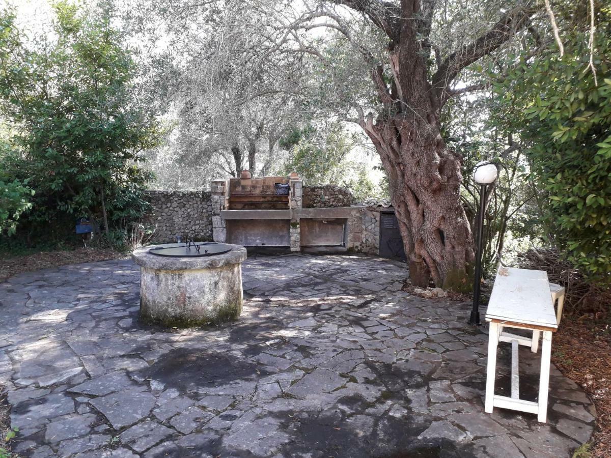 House In The Olive Garden Lejlighed Ágios Ioánnis Eksteriør billede