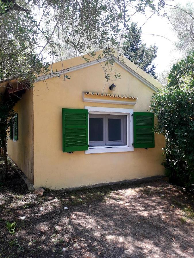 House In The Olive Garden Lejlighed Ágios Ioánnis Eksteriør billede